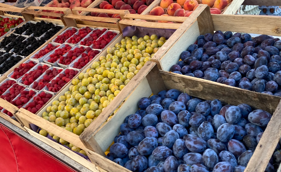 Auslage mit frischen Beeren, Mirabellen und Pflaumen — regionale Produkte vom Winterriedhof